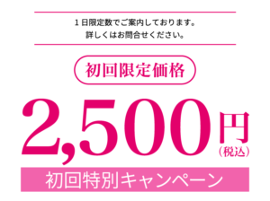 初回限定2500円